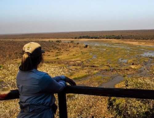 What to Pack for an African Safari