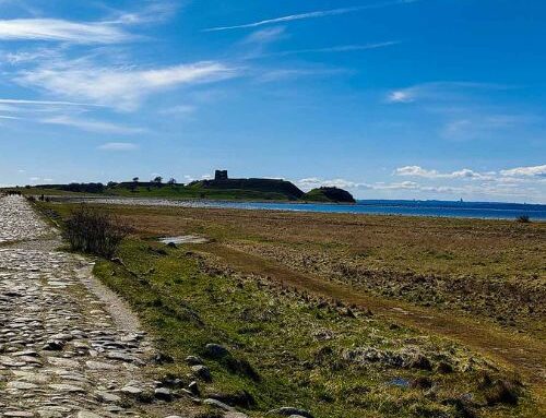 Visiting Kalø Castle